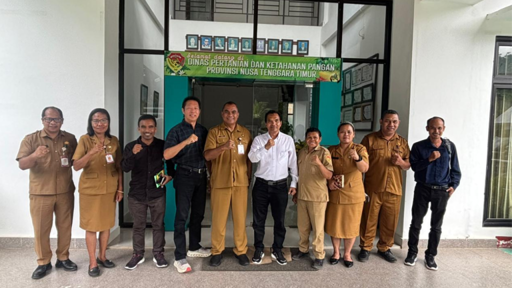 Dinas Pertanian Provinsi NTT Dorong Pengembangan Lahan Kering dengan Komoditas Sorgum