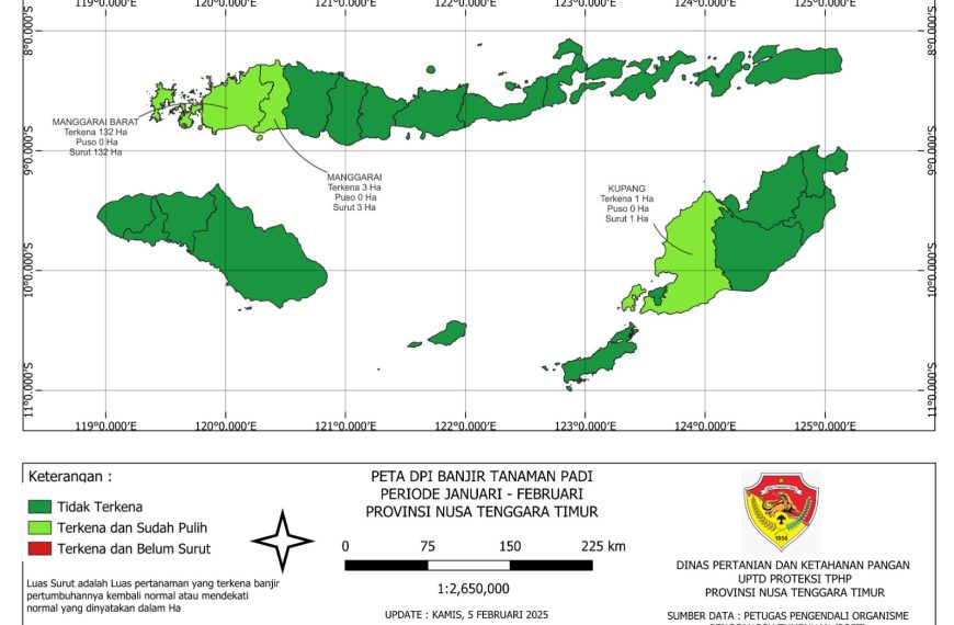 PETA DPI BANJIR TANAMAN PADI Manggarai Barat, Manggarai, Kupang