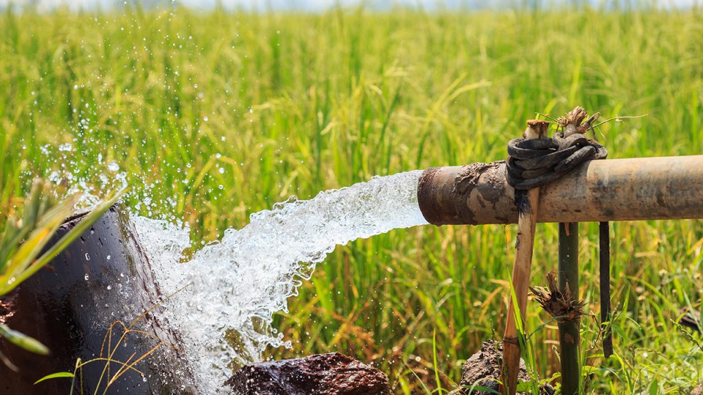 Pemkab Kupang Mengambil Langkah Antisipasi Menghadapi Anomali Iklim di Musim Tanam