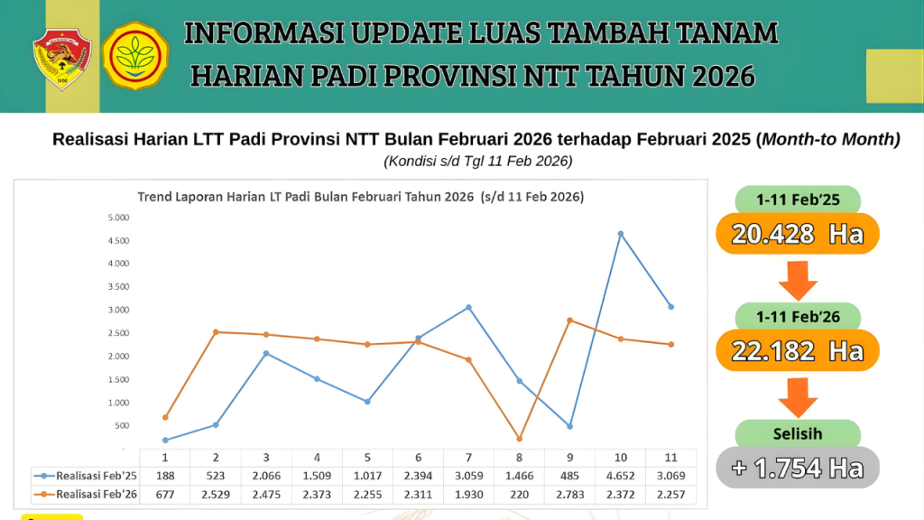 Peningkatan Luas Tanam Padi di NTT Update LTT Februari 2026