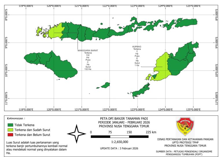 Peta DPI Banjir Tanaman Padi dan Bencana Alam Angin Kencang di Nusa Tenggara Timur (NTT)