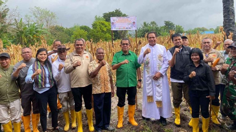 Panen Jagung Bersama Gubernur NTT di UPTD Kesejahteraan Sosial Tuna Netra dan Karya Wanita, Naibonat