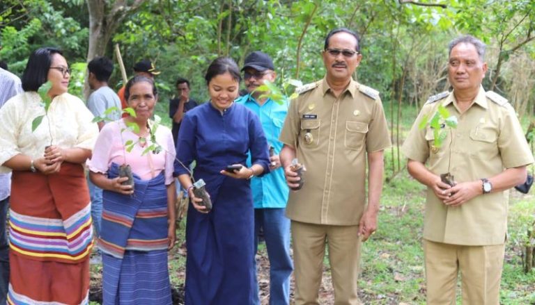 Bupati dan Wakil Bupati Sumba Tengah Bersama Warga Menanam Kopi Robusta