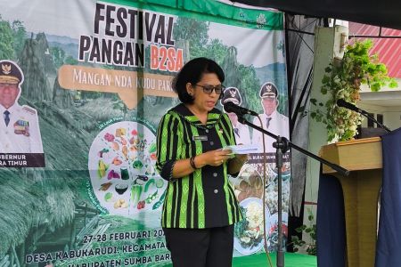Pembukaan Festival B2SA Dihadiri Pemerintah Daerah dan Provinsi