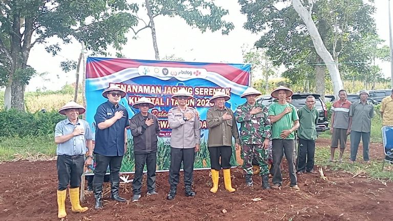 Polri Gelar Penanaman Jagung Serentak di TTS