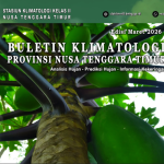 Buletin Klimatologi Nusa Tenggara Timur Maret 2026