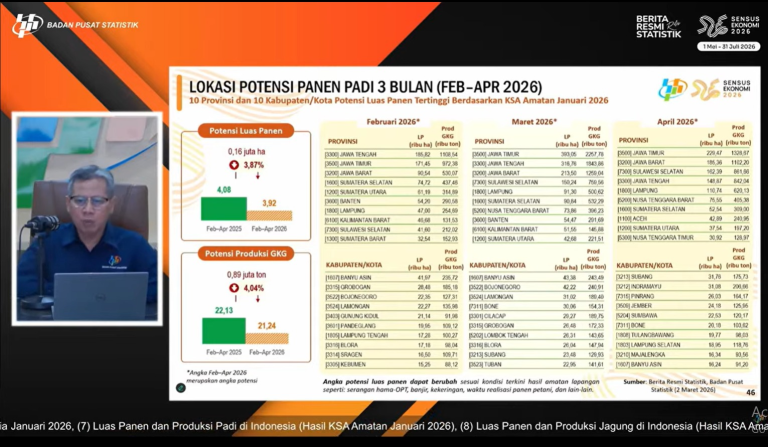 NTT Masuk 10 Besar Nasional, Potensi Luas Panen dan Produksi Padi April 2026 Versi BPS