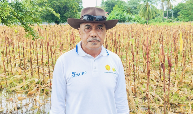Perkuat Ketahanan Pangan, Penyuluh Pertanian Siap Dampingi Petani di NTT