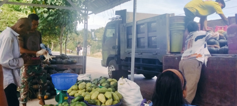 Program MBG Kabupaten Kupang dorong pertanian, peternakan, dan UMKM dengan pasar pasti dan peningkatan ekonomi lokal.