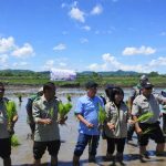 Percepatan Tanam Padi di Desa Okayo