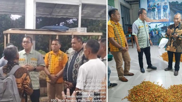 TPID NTT Pelajari Lelang Cabai Digital PPHPM Sleman