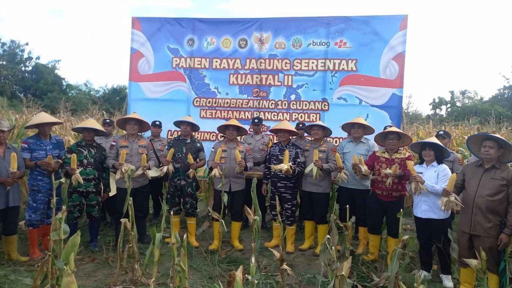 Kadis Pertanian dan Ketahanan Pangan NTT Hadiri Panen Raya Jagung Serentak Kuartal II di Tuatuka