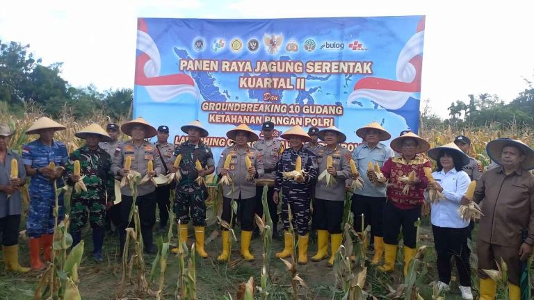 Kadis Pertanian dan Ketahanan Pangan NTT Hadiri Panen Raya Jagung Serentak Kuartal II di Tuatuka