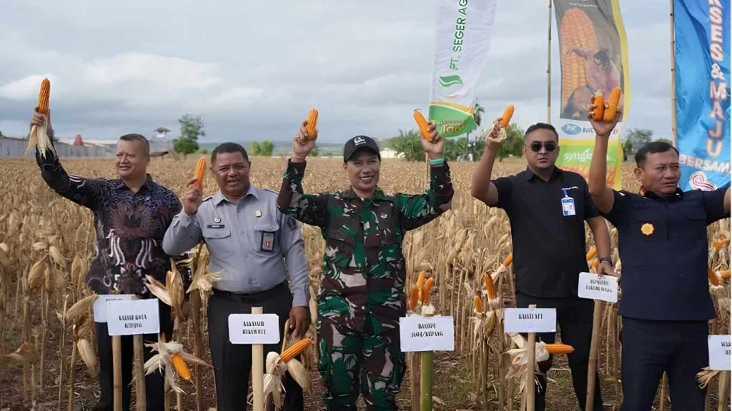 Kanwil Kemenkum NTT Dukung Panen Raya SAE Lapas Kupang sebagai Wujud Pembinaan Humanis dan Produktif