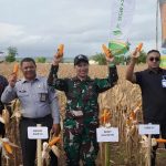 Kanwil Kemenkum NTT Dukung Panen Raya SAE Lapas Kupang sebagai Wujud Pembinaan Humanis dan Produktif