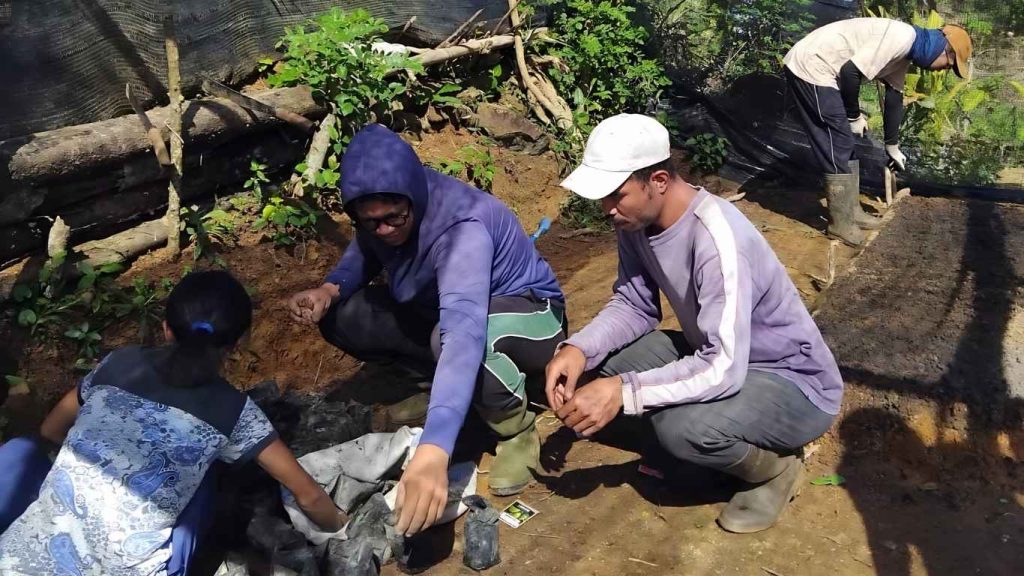 Kebun Dinas Roe Perkuat Pengembangan Hortikultura dan Pemeliharaan Sarana Pertanian