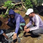 Kebun Dinas Roe Perkuat Pengembangan Hortikultura dan Pemeliharaan Sarana Pertanian