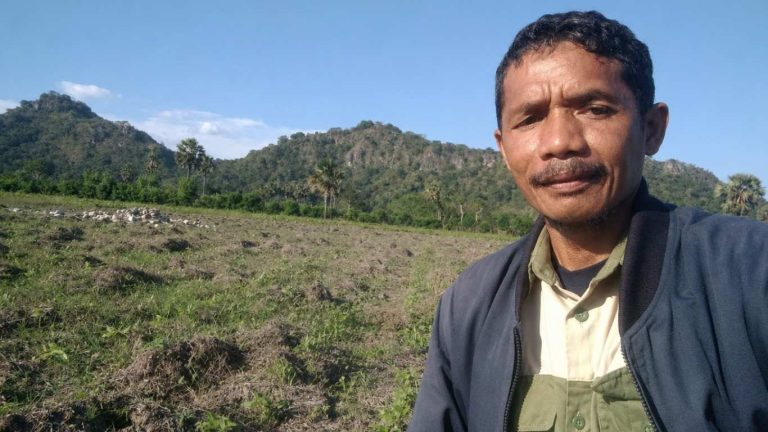 Monitoring Pertumbuhan Kacang Hijau Varietas Vima 1 di Demo Tani Poktan Eduardo Milenial