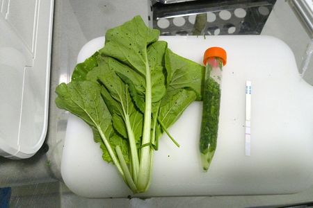 Pengujian Sayur Sawi dan Bawang Merah