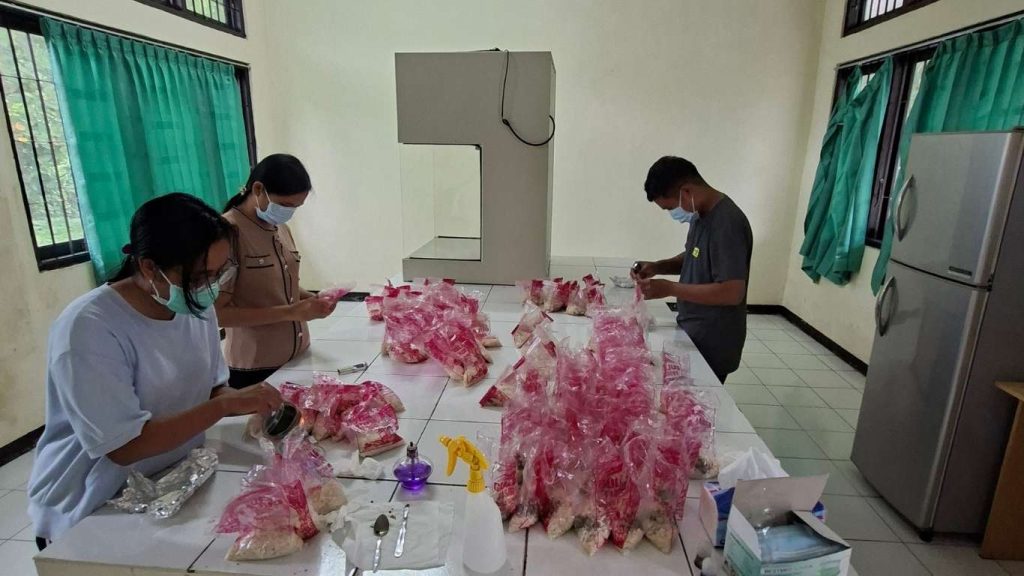 Perbanyakan APH Trichoderma di Laboratorium Lapangan Sikka Menghasilkan 118 Bungkus Starter