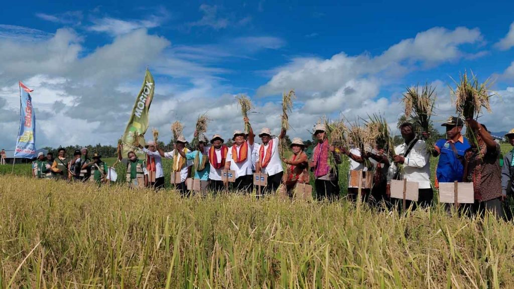 Pertanian Jadi Prioritas Utama SBS-HMS, Wabup Henri Melki Simu Kita Serius Kerja untuk Sawah dan Kebun