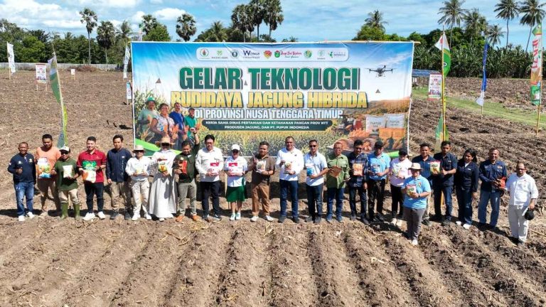 Dinas Pertanian dan Ketahanan Pangan Provinsi NTT Gandeng 11 Produsen dan Pupuk Indonesia dalam Gelar Teknologi di BBI Tarus