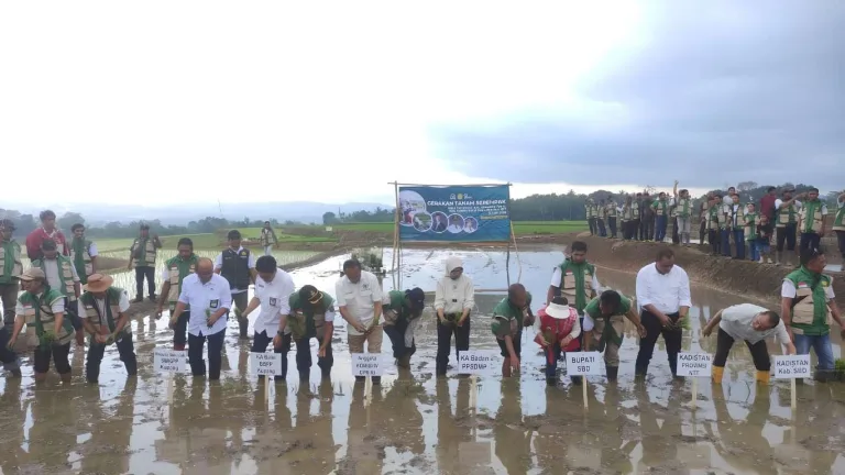 Kepala Dinas Pertanian dan Ketahanan Pangan NTT Hadiri Penanaman Serentak 2.000 Hektare di Sumba Barat Daya