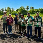 Pengujian Adaptasi Kacang Hijau Biji Hitam di Kabupaten Sikka Dorong Pengembangan Varietas Unggul Lokal
