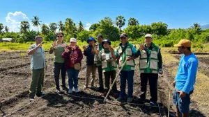 Pengujian Adaptasi Kacang Hijau Biji Hitam di Kabupaten Sikka Dorong Pengembangan Varietas Unggul Lokal