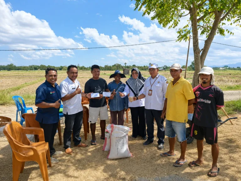 Penanaman Perdana Kedelai Derap 1 dilaksanakan di Desa Manusak, Kecamatan Kupang Timur, Kabupaten Kupang. Kegiatan ini menjadi langkah awal pengembangan kedelai di wilayah tersebut. Penanaman dilakukan melalui kerja sama BRMP dengan petani setempat. Lahan yang digunakan mencapai 1,0 hektare. Varietas yang ditanam adalah kacang kedelai Derap 1.