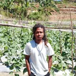 Petani Milenial Sulap Bukit Batu Baumata Jadi Sentra Melon