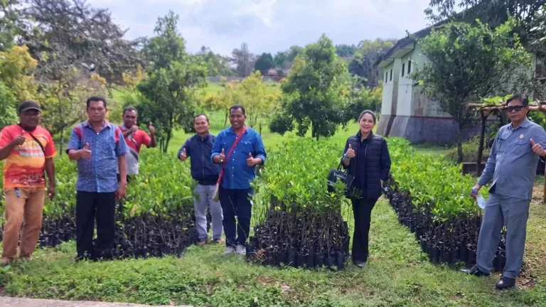 DPRD NTT Dukung Pengembangan BBH Oelbubuk, Siap Dorong Anggaran di APBD 2027