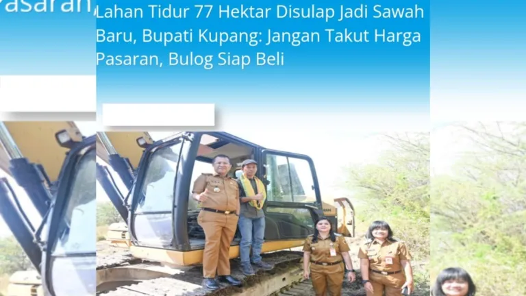 Lahan Tidur 77 Hektar Disulap Jadi Sawah Baru, Bupati Kupang