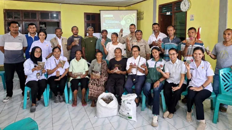 UPTD PKDLHP Sosialisasikan APH Trichoderma kepada Petani di Sikka