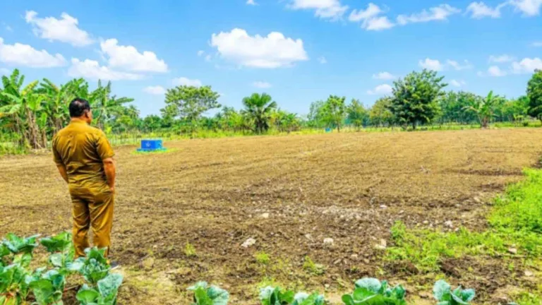 Wakil Bupati Malaka HMS Beri Contoh Nyata, Bangun Kebun Hortikultura dan Ajak Anak Muda Menjadi Petani Sukses
