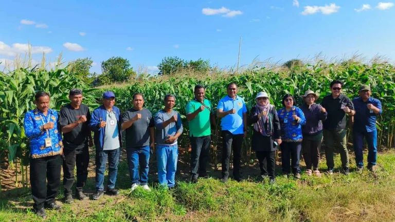 Staf Ahli Menteri Pertanian Tinjau Potensi dan Program Strategis Pertanian NTT