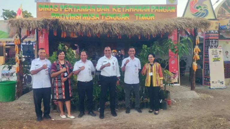 Dari Lahan Kering NTT, Bawang Merah Biji Dibidik Jadi Komoditas Unggulan