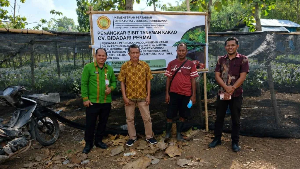 Dinas Pertanian NTT Tinjau Penangkaran Kakao, Calon Lokasi Festival Kopi dan Balai Benih Lembor