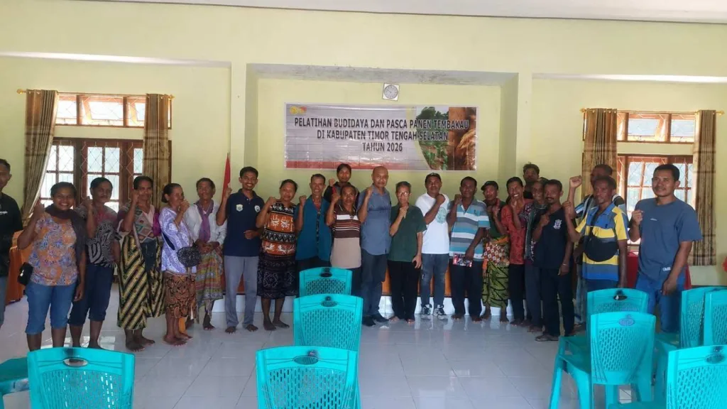Distankp NTT Gelar Pelatihan Budidaya dan Pascapanen Perkebunan di TTS dan TTU