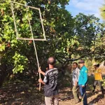 Evaluasi Sertifikasi Kebun Induk Jambu Mete di Maurole Ende, Pastikan Ketersediaan Benih Unggul Berkelanjutan