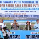 Kejar Swasembada Bawang Putih, Mentan Amran Perkuat Produksi di NTB
