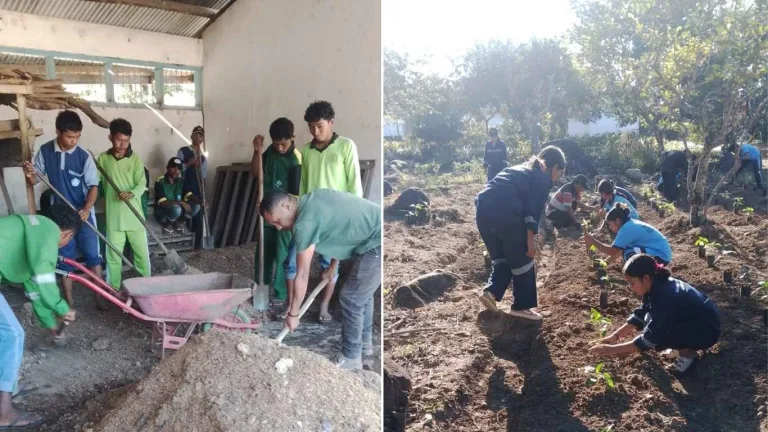 Penanaman Cabai di BBH Lembor Libatkan Siswa PKL dari Empat SMK