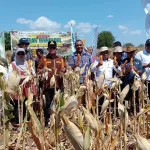 Peningkatan Produksi Jagung NTT Didorong dari BBI Tarus, Gubernur Tekankan Kesejahteraan Petani
