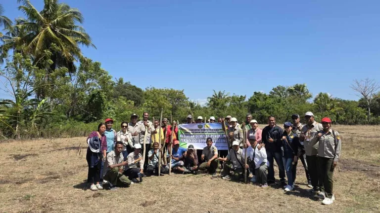 Peningkatan Produktivitas Pertanian Jagung melalui Demplot Teknologi Budidaya di Desa Lawalu 