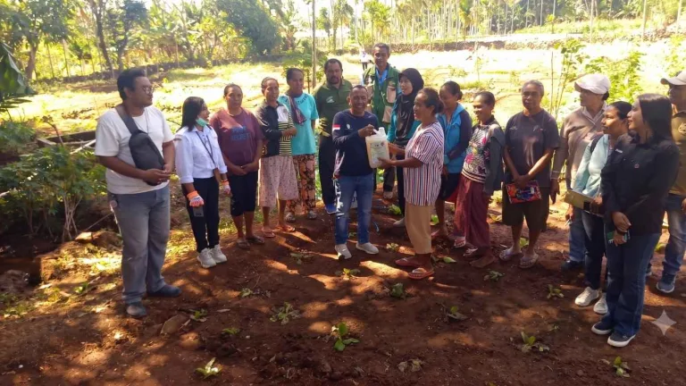 UPTD Proteksi TPHP Gelar Gerdal OPT Berbasis PGPR di Lahan KWT Melati Oeltua