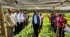 Mentan Amran Kunjungi Alor, Perkuat Pertanian dan Ketahanan Pangan NTT