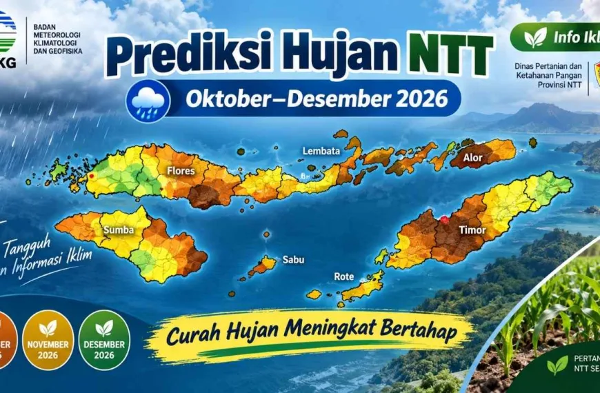 BMKG Prediksi Curah Hujan NTT Meningkat Bertahap hingga Desember 2026, Sektor Pertanian Perlu Siapkan Langkah Adaptasi