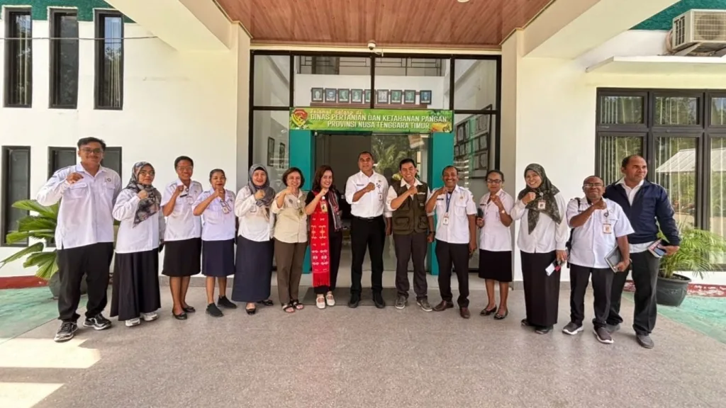 Distankp NTT Perkuat Kolaborasi Pengendalian Penyakit Darah Pisang di Flores, Lembata, dan Sabu Raijua