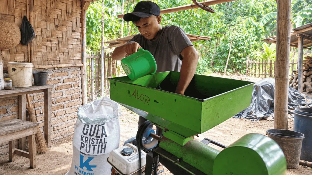Kebun Dinas Mainang Olah Kopi Kering dengan Mesin Huller