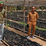 Monitoring Pembibitan Jambu Mete MPF 1 di Pailelang Alor, Dukung Ketersediaan Benih&hellip;
